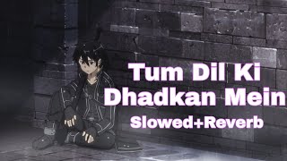 Tum Dil Ki Dhadkan Mein Rehte Ho SlowedReverb Bollywood Slowed And Reverb lofi songs [upl. by Gerbold]