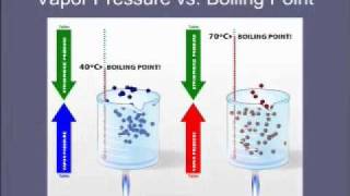 7 Vapor Pressure vs Boiling Point [upl. by Coppinger969]