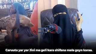 Caruuta yar yar Jini ma geli kara shifona mala gayn karaa [upl. by Nnail]