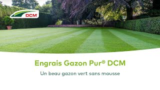 Un beau gazon vert sans mousse  DCM Gazon Pur® [upl. by Daza]