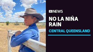 Catastrophic conditions continue for farmers who missed out on La Niña rain  ABC News [upl. by Corri354]