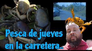 Vlog 127 Pesca de jueyes en la carretera [upl. by Brott]