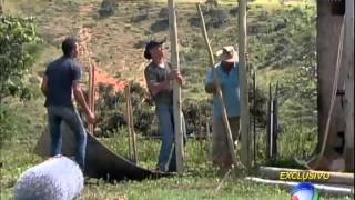 Projeto de proteção ao lobo guará na Serra da Canastra [upl. by Consolata147]