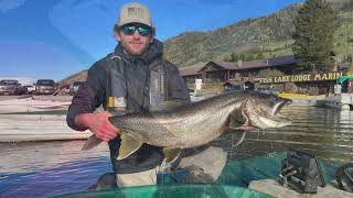 Hunter Gahley  My Summer as a Fisheries Technician on the Fish Lake National Forest [upl. by Gnaoh]