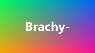 Brachy  Medical Definition and Pronunciation [upl. by Sower]