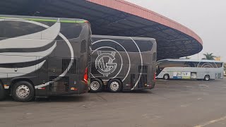 Belíssimos Ônibus na Rodoviária de Londrina  PR 14092024 [upl. by Tamberg]