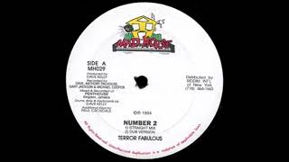 Terror Fabulous  Number 2 Vinyl Side B Instrumental 1994 [upl. by Lednem]