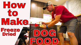 How to Make Your Own Freeze Dried Dog Food Recipe [upl. by Gerhardt]