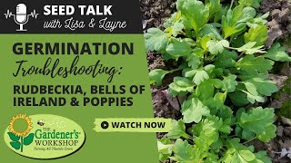 Seed Talk 56  Germination Troubleshooting  Rudbeckia Bells of Ireland amp Poppies [upl. by Good]