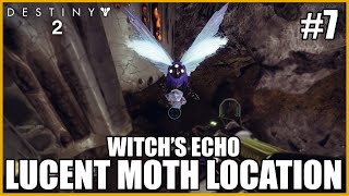 Lucent Moth Location  Witchs Echo Destiny 2 [upl. by Nhguahs]