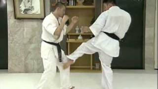 Kyokushin Kumite Image Training Part 2 [upl. by Syah]