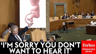 John Kennedy Relentlessly Grills ProChoice Witness Snaps At Sheldon Whitehouse For Cutting Him Off [upl. by Heid789]