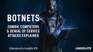 Zombie Computers Botnets and Denial of Service Attacks  Cybersecurity Insights 16 [upl. by Lucy]