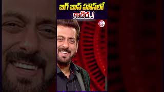 బిగ్ బాస్ హౌస్‌లో గాడిద Donkey in Bigg Boss House SumanTVKarimnagar [upl. by Nybor]