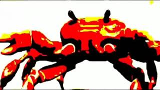 Crab rave earrape 1 hour edition [upl. by Serdna]