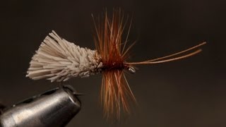 Goddard Caddis [upl. by Jaquiss]