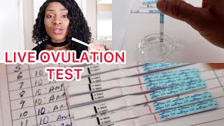 HOW TO ACCURATELY TEST FOR OVULATION AT HOME  VERY DETAILED WELL EXPLAINED VIDEO [upl. by Welcher]