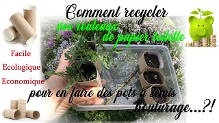 Commenr recycler rouleau papier toilette wc en godetpot semis bouturage astuce jardin zero déchet [upl. by Robinson]