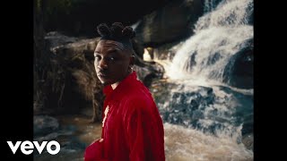 Mayorkun  Lowkey Official Music Video [upl. by Nihi]