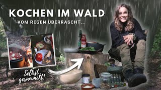 Gemütliches Köcheln am Lagerfeuer und überraschender Platzregen WaldKochen mit Zutaten ausm Wald [upl. by Nauqyaj818]