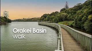 Orakei Basin walkway [upl. by Milak]