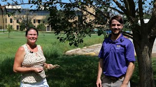 Get It Growing How to Handle Webworms in your Trees [upl. by Lotta]