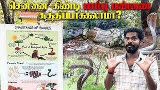 🐍🐍கிண்டி பாம்பு பண்ணை🐍🐍  Snake Park Experience  Guindy National Park SanthoshJourney Vlog [upl. by Pepin931]