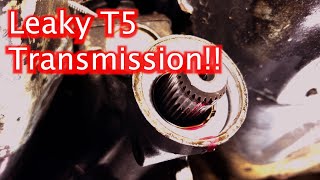 Leaky Tremec T5 transmission [upl. by Annekahs]