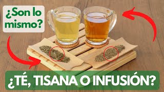 3 Diferencias entre Té y Tisana ¿Son lo mismo que una infusión  Aprende a diferenciarlos [upl. by Aileahcim]