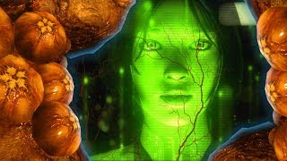 Halo 6 News  CONFIRMED Cortana Infected By the LOGIC PLAGUE [upl. by Ennayar]