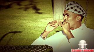 DALMAR YARE 2013 WAAN IMANAYAA OFFICIAL VIDEO DIRECTED BY STUDIO LIIBAAN [upl. by Ecallaw362]