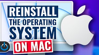 How To Reinstall macOS On ANY Mac [upl. by Mahtal]