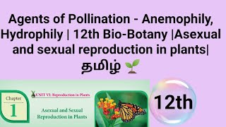 Anemophily and Hydrophily 12th BioBotany  தமிழ் [upl. by Trautman]