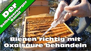 Bienen richtig mit Oxalsaeure gegen Varroamilben behandeln [upl. by Aliek948]