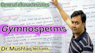 Gymnosperms Characteristics  Dr Mushtaq lectures  Class 11 [upl. by Wayne300]