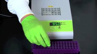 Alu PV92 Detection by PCR [upl. by Gillespie]