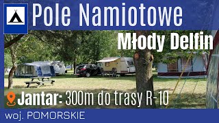 🏕️🌲Pole Namiotowe Młody Delfin  Jantar tuż przy trasie rowerowej R10 [upl. by Leilani]