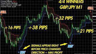 Brand New Forex Scalper Of 2017ReviewDoes it Really Works [upl. by Akeret852]