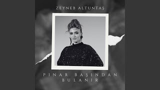 Pınar Başından Bulanır [upl. by Sirromad]