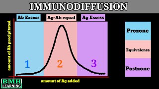 Immunodiffusion  Singe Immunodiffusion  Double Immunodiffusion  Types Of Immunodiffusion [upl. by Anyaj]