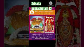 Srisaila mallikarjuna suprabhatam 13 శ్రీశైల సుప్రభాతమ్ శివ rudra harishiyer mssubbalakshmi [upl. by Ellerrad]