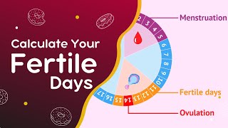 The Most Fertile Days To Get Pregnant  Ovulation Calculator and Calendar [upl. by Ennaira]