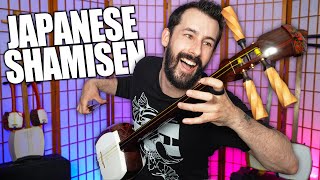 The TRUTH About The Japanese Shamisen  Wish I Knew Sooner… [upl. by Nele]