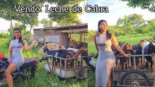 Salimos a Vender Leche de CABRA🐐  Calentita recién ordeñada No hay nada más RICO [upl. by Eveivaneg]