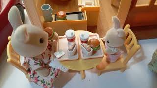 My full collection of Sylvanian Families 2024 [upl. by Kinghorn960]