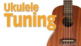 01  Ukulele Tuning 4th String G Note [upl. by Sennahoj]