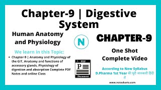 Chapter9 Digestive System Complete Class DPharm digestive system d pharma 1st year notes [upl. by Andreas758]