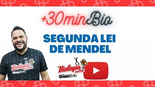 SEGUNDA LEI DE MENDEL  LIVE 30MIN DE BIO  QUESTÕES [upl. by Ide397]