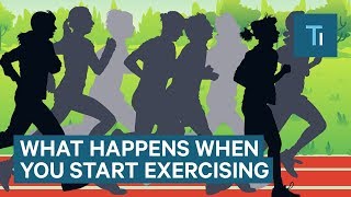 What Happens To Your Body When You Start Exercising Regularly  The Human Body [upl. by Alilad]