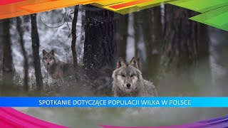 Populacja Wilka w Polsce [upl. by Mcdougall251]